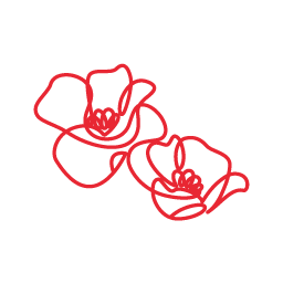 茶花サポニン