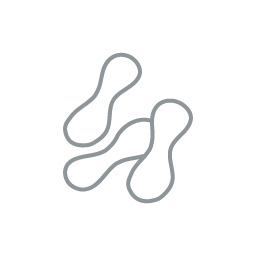 ビフィズス菌LKM512(Bifidobacterium animalis subsp. lactis )